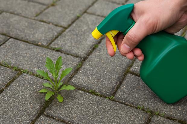 Herbicidy sú nebezpečné a nevhodné pre ekologické pestovanie.