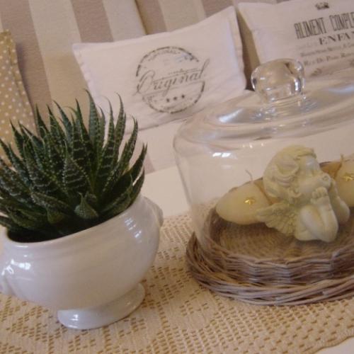 Aloe 