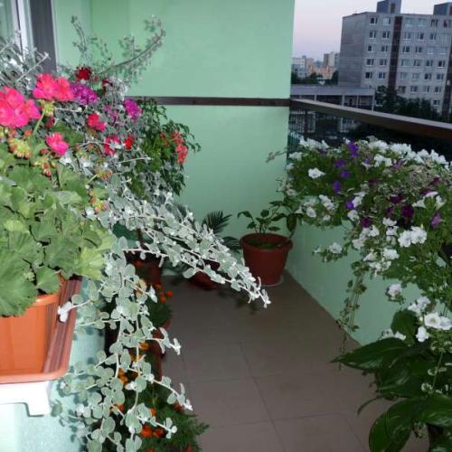 Balkon 2011