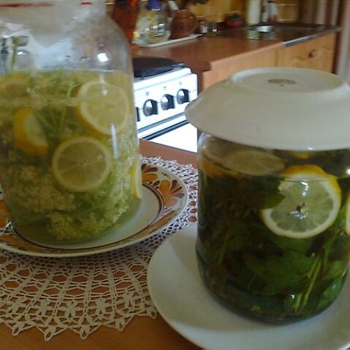 Bude sirup z bazy a mäty