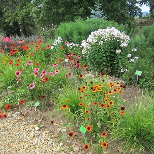 arboretum