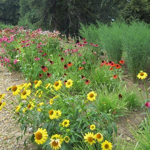 arboretum