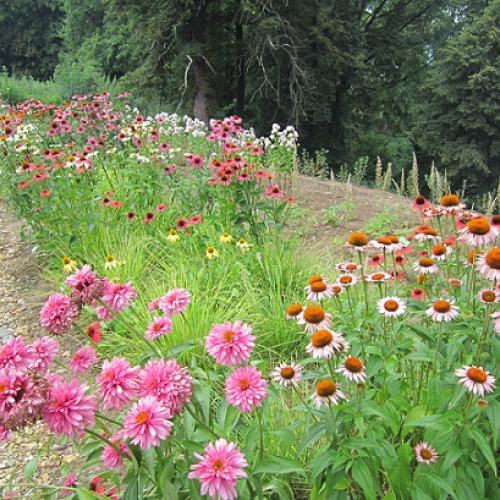 arboretum