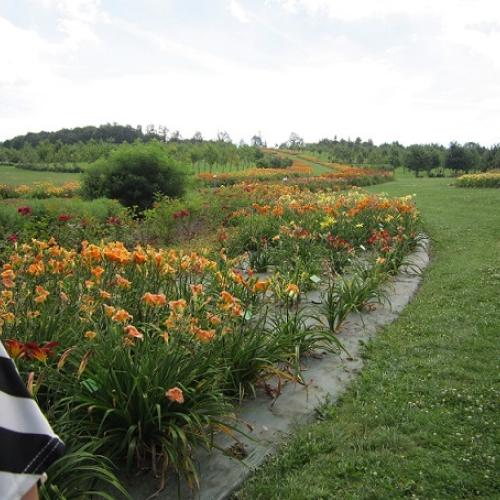 arboretum