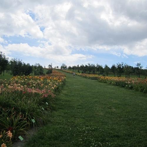 arboretum