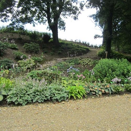 arboretum