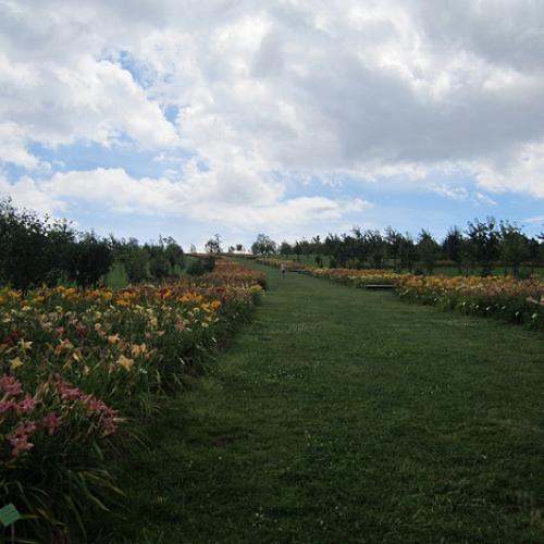 arboretum