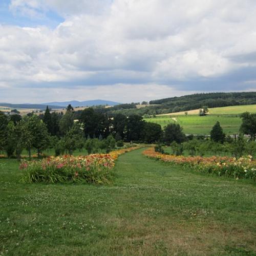 arboretum