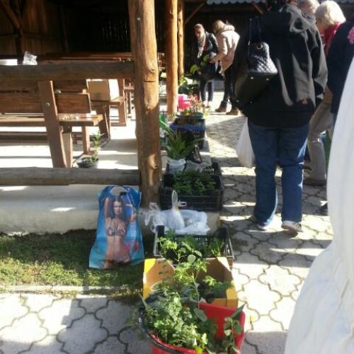 Bolo z coho vyberat :) Nasa stretkova miniburza!