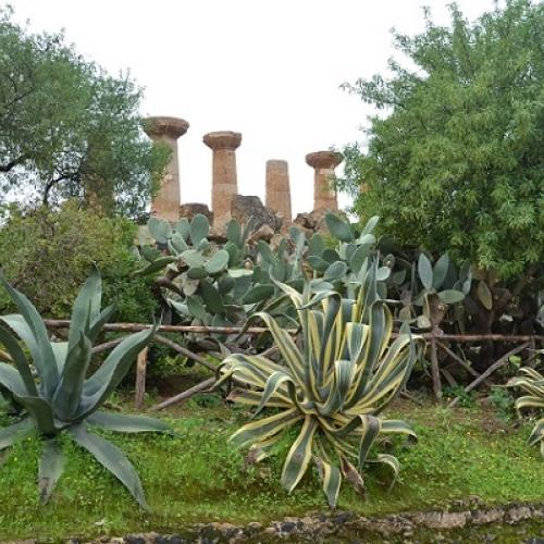 v Údolí chrámov, Agrigento, Sicilly