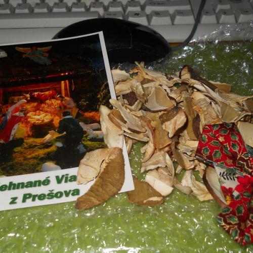 O Evičky, holubičky