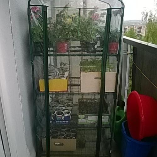 moj foliovnik 