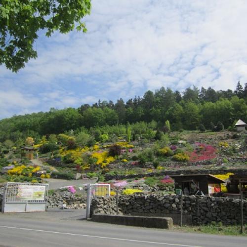 arboretum
