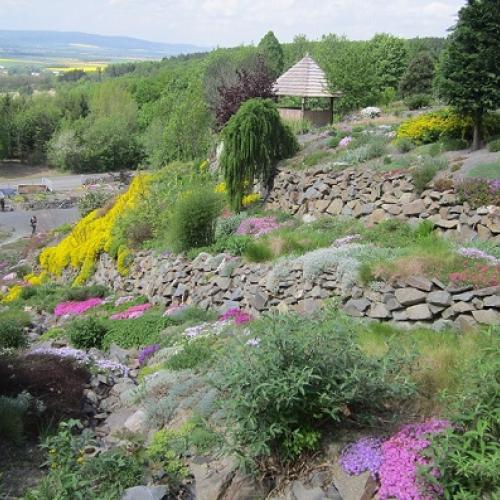 arboretum