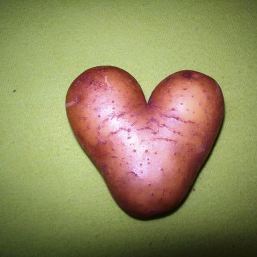 čo som včera vykopala