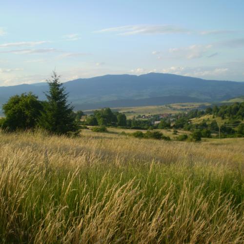Poľana