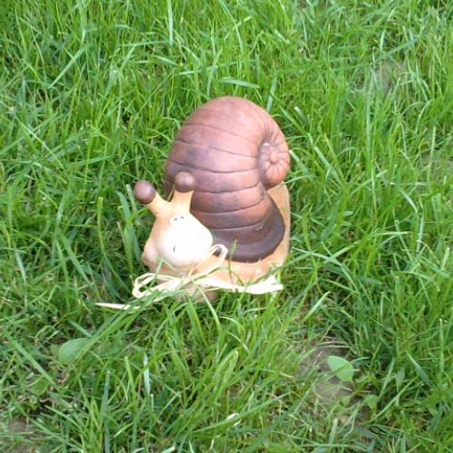 pozorovateľ
