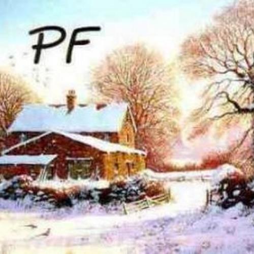 PF 2013