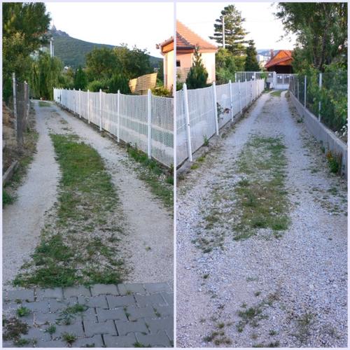 Tak takýto bič som si zas na seba uplietla