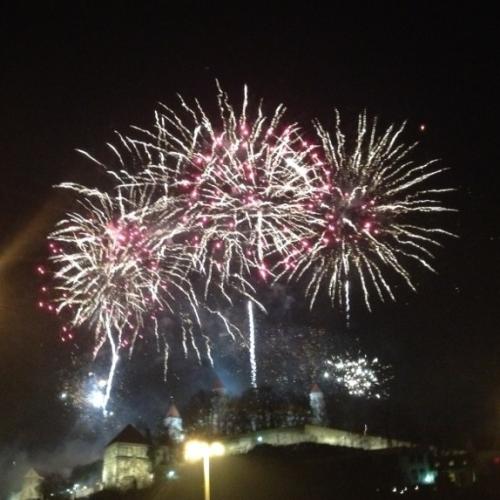 Nech bude Nový rok 2013 rozkvitnutý šťastím!
