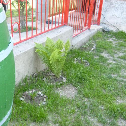 Začiatočník  z Luhyni