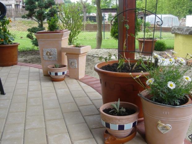 Pokúpené, posadené..., návod, Záhrada, Jasmin, 7