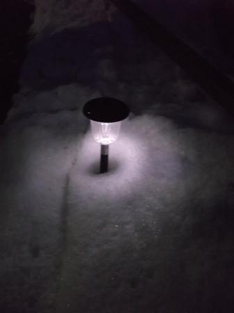 Dnešná nočná..., Náš dvor Dnešná nočná..., Náš dvor, osika, 1