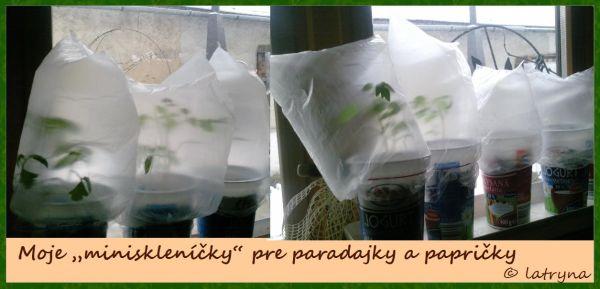 Nemám skleník, Okenné parapety, LATRYNA, 1