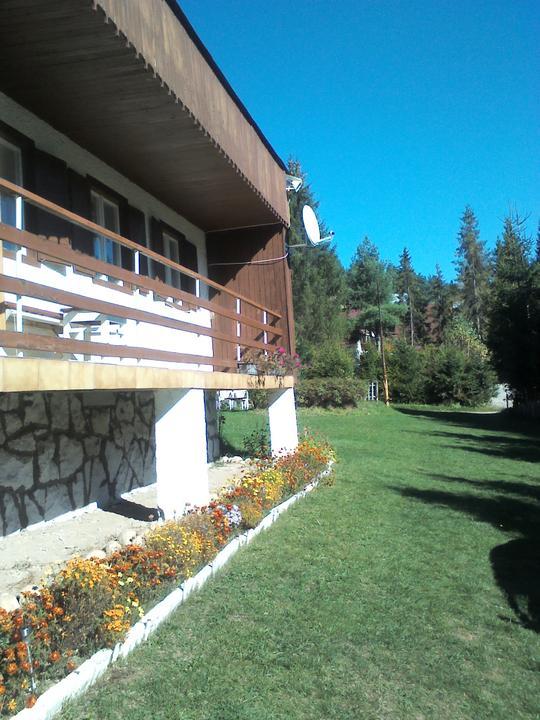Naša chatka, Náš dvor Naša chatka, Náš dvor, janbari, 1