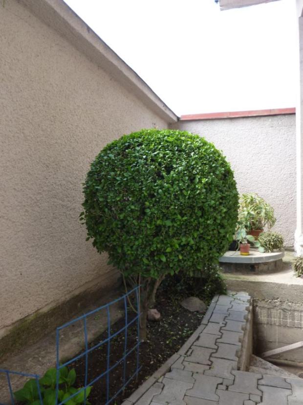 Vtáči Zob, Okrasné záhradky Vtáči Zob, Okrasné záhradky, marosmeny, 1