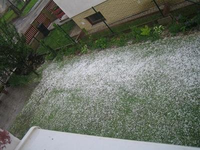 krupec , Náš dvor, evuš 50, 1