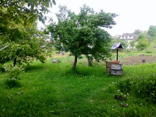 čaká ma kosenie , Náš dvor čaká ma kosenie , Náš dvor, Luckagv, 1