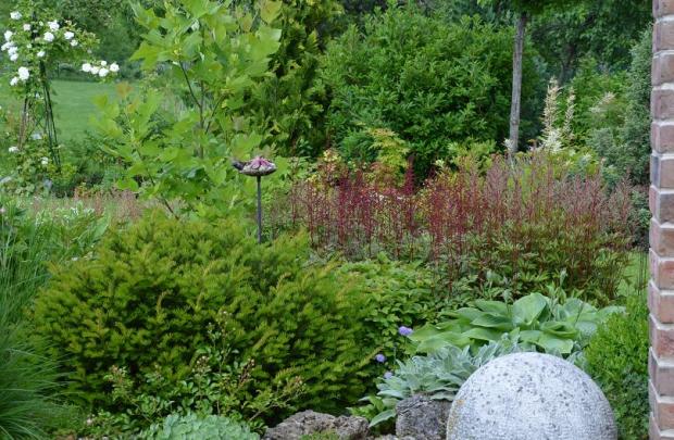 jedno sempervivum sa ušlo aj vtáčikovi do napájadielka, Okrasné záhradky jedno sempervivum sa ušlo aj vtáčikovi do napájadielka, Okrasné záhradky, , 1