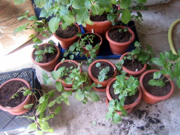 Gabikaaaa - dostali sme nove ubytovanie, A všeličo ostatné Gabikaaaa - dostali sme nove ubytovanie, A všeličo ostatné, athos17, 1