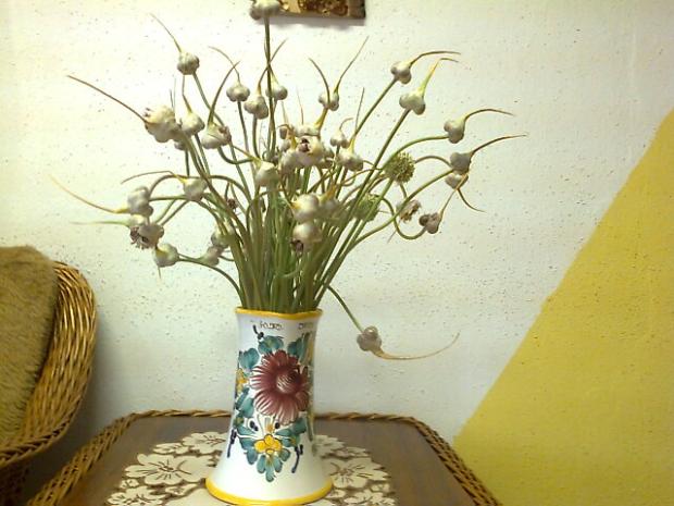 Cesnaková kytička., Kvety vo váze Cesnaková kytička., Kvety vo váze, sulikovamaria, 1
