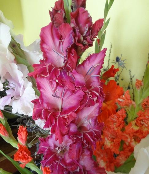 gladiolky aj u mňa, Okrasné záhradky gladiolky aj u mňa, Okrasné záhradky, , 1