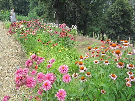 arboretum, janinka, 1