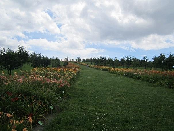 arboretum, janinka, 1