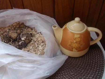 Včera som našla na klučke našej bráničky..., A všeličo ostatné, osika, 1