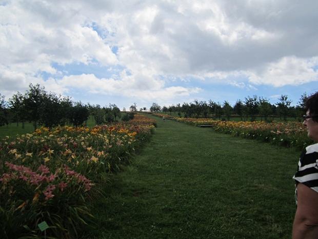 arboretum, janinka, 1