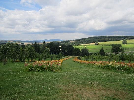 arboretum, janinka, 1