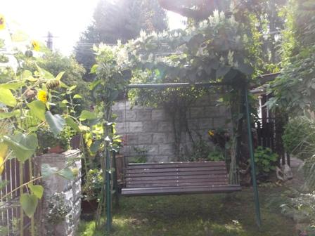 Oblúk nad hojdačkou, Okrasné záhradky, osika, 1