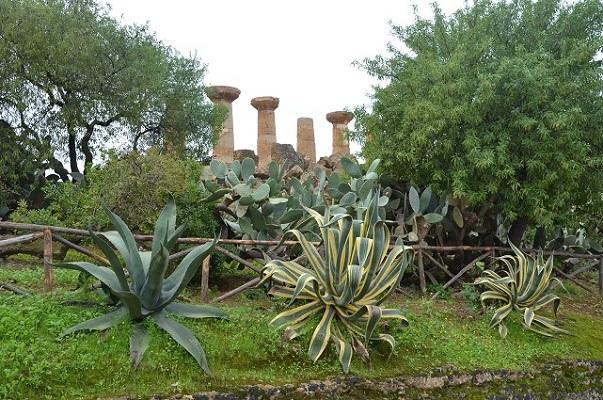 v Údolí chrámov, Agrigento, Sicilly, A všeličo ostatné, , 1