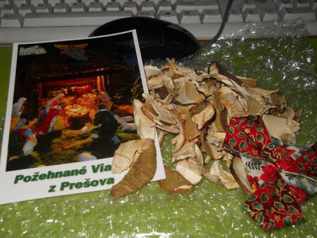 O Evičky, holubičky, A všeličo ostatné, anezka.kapustova, 1
