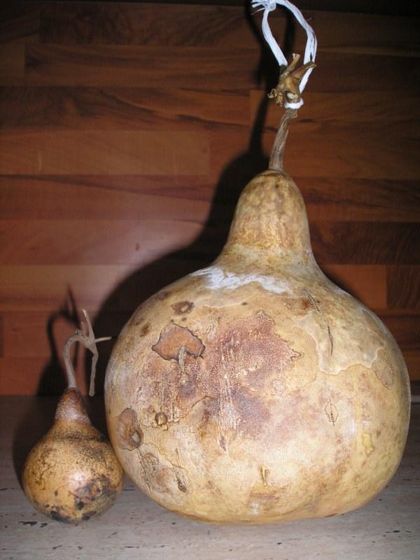 maly a velky kamarat:-), A všeličo ostatné maly a velky kamarat:-), A všeličo ostatné, Mirkag, 1