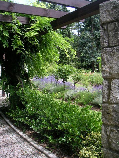 botanická záhrada v BA dnes, Inšpirácie, LubaArt, 1