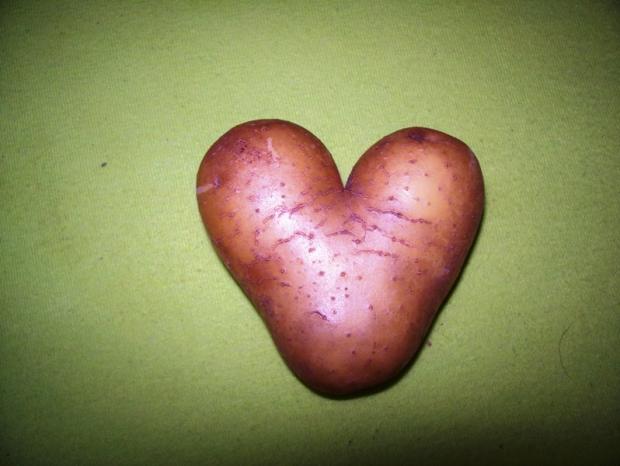 čo som včera vykopala, Zeleninová záhrada čo som včera vykopala, Zeleninová záhrada, Jana A, 1