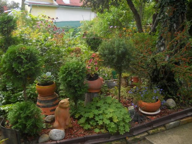 ukončenie záhončeka pod brezou, Obrazky k článkom, anezka.kapustova, 1