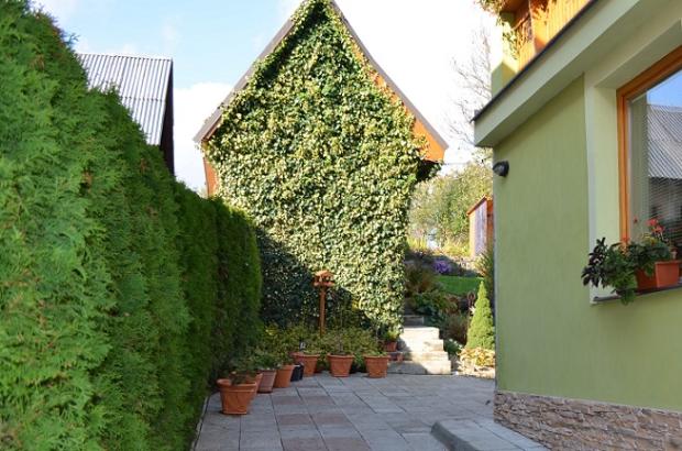 Posledné hodiny zelenej steny, Náš dvor Posledné hodiny zelenej steny, Náš dvor, nakela, 1