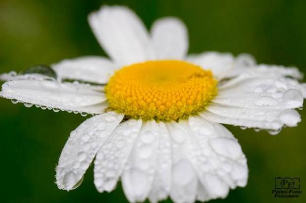 .., Obrazky k článkom, Patrik-photograf, 1
